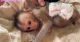 Capuchins Monkey Animals for sale in Spartanburg, SC, USA. price: NA