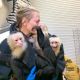 Capuchins Monkey Animals for sale in Leisure City, FL, USA. price: $1,000
