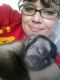 Capuchins Monkey Animals for sale in Rochester, NY, USA. price: NA
