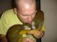 Capuchins Monkey Animals for sale in Bay City, OR 97107, USA. price: NA