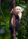 Capuchins Monkey Animals for sale in Carlsbad, CA, USA. price: NA