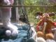 Capuchins Monkey Animals for sale in W Carolina Ave, Hartsville, SC 29550, USA. price: NA