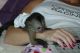 Capuchins Monkey Animals for sale in Bakersfield, CA, USA. price: NA