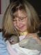 Capuchins Monkey Animals for sale in Port Angeles, WA 98362, USA. price: NA