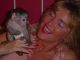 Capuchins Monkey Animals for sale in Tampa, FL, USA. price: $350