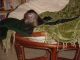 Capuchins Monkey Animals for sale in Michigan Avenue, Chicago, IL, USA. price: $1,200