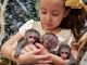 Capuchins Monkey Animals for sale in Fresno, CA 93720, USA. price: NA