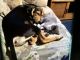 Catahoula Leopard Puppies for sale in Providence, RI, USA. price: NA