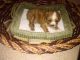 Cavalier King Charles Spaniel Puppies for sale in Spencerville, IN 46788, USA. price: $1,500