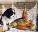 Cavalier King Charles Spaniel Puppies for sale in Alta Loma, CA 91701, USA. price: $3,500