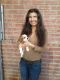 Cavalier King Charles Spaniel Puppies for sale in Rancho Cordova, CA, USA. price: NA