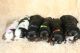 Cavalier King Charles Spaniel Puppies for sale in Homeland, CA, USA. price: NA