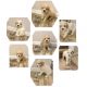 Cavapoo Puppies for sale in The Woodlands, TX, USA. price: $1,200