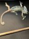 Chameleon Reptiles for sale in Galloway, NJ 08205, USA. price: $750