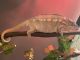 Chameleon Reptiles for sale in Asheboro, NC, USA. price: $200