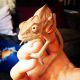 Chameleon Reptiles for sale in Detroit, MI, USA. price: NA