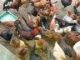 Chicken Birds for sale in Bengaluru, Karnataka 560001, India. price: 220 INR