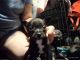 Chihuahua Puppies for sale in Gadsden Hwy, Trussville, AL, USA. price: NA