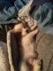Chihuahua Puppies for sale in Michigan St NW, Grand Rapids, MI, USA. price: $250