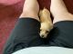 Chihuahua Puppies for sale in District Heights, MD 20747, USA. price: $250