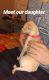 Chihuahua Puppies for sale in Caddo Valley, AR 71923, USA. price: $400