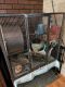Chinchilla Rodents for sale in Howell Township, NJ, USA. price: $150