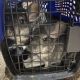 Chinchilla Rodents for sale in American Fork, UT 84003, USA. price: $350