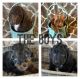 Cockapoo Puppies for sale in Shawnee, OK, USA. price: $1,800