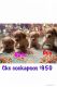 Cockapoo Puppies for sale in Whitley City, KY 42653, USA. price: $950
