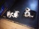 Corgi Puppies for sale in Vernon, AZ 85940, USA. price: $1,000