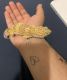 Crested Gecko Reptiles for sale in New York, NY, USA. price: $80
