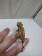 Crested Gecko Reptiles