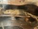 Crested Gecko Reptiles for sale in Phoenix, AZ, USA. price: $70