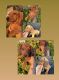Dachshund Puppies for sale in San Antonio, TX, USA. price: NA