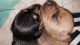 Dachshund Puppies for sale in Lillington, NC 27546, USA. price: NA