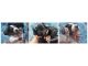 Dachshund Puppies for sale in David City, NE 68632, USA. price: $1,000