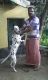 Dalmatian Puppies for sale in Cochin International Airport (COK), Airport Rd, Kochi, Kerala 683111, India. price: 5000 INR
