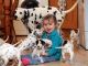 Dalmatian Puppies for sale in 58503 Rd 225, North Fork, CA 93643, USA. price: NA