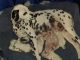 Dalmatian Puppies for sale in Palmer, MA 01069, USA. price: NA
