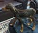 Doberman Pinscher Puppies for sale in Rourkela, Odisha, India. price: 20000 INR