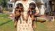 Doberman Pinscher Puppies for sale in Sawantwadi, Maharashtra 416510, India. price: 10000 INR