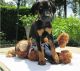 Doberman Pinscher Puppies for sale in Batesburg-Leesville, SC, USA. price: NA