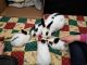Domestic rabbit Rabbits for sale in Lynchburg, VA, USA. price: NA