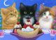 Domestic Shorthaired Cat Cats for sale in Visalia, CA, USA. price: NA