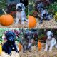Double Doodle Puppies for sale in Athens, GA, USA. price: $500