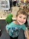 Eclectus Parrot Birds for sale in Folsom, CA, USA. price: $400