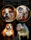 English Bulldog Puppies for sale in Princeton, MN 55371, USA. price: $35,008,000