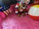 English Bulldog Puppies for sale in Cadiz, KY 42211, USA. price: $1,200