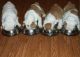 English Bulldog Puppies for sale in Moses Lake, WA 98837, USA. price: $500