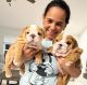 English Bulldog Puppies for sale in Beaufort, South Carolina. price: $550
